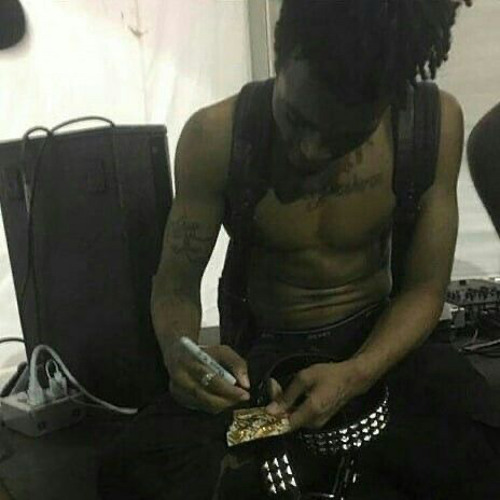 rip x (siahprice)(2023)