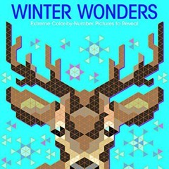 READ PDF 💑 Color Quest: Winter Wonders: Extreme Color-by-Number Pictures to Reveal b