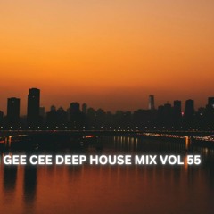 DEEP HOUSE MIX VOL 55