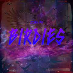 Birdies (prod. dripclout)