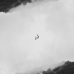 dancing in the skies (prod. Astro x Senk x Richh