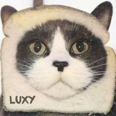⚫ LUXY - La Force