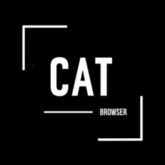 Cat Browser_ Secure, Fast, and Free Entertainment Hub