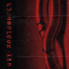 Slowboy, $werve - pulseshock.mp3