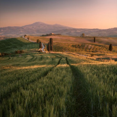 O Sole Mio "Hauser"