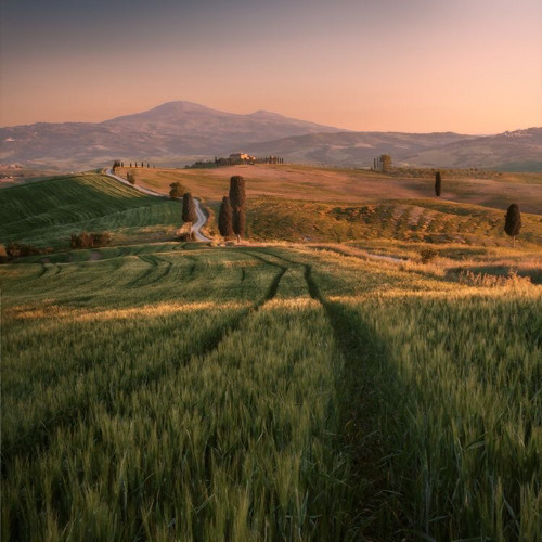 O Sole Mio "Hauser"