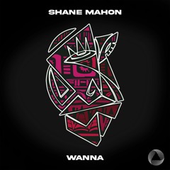 Shane Mahon - Wanna [Preview]