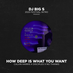 HOW DEEP IS WHAT YOU WANT ( DJ BIG S 2023 FESTIVAL INTRO EDIT) DJ BIG S MASHUP PACK VOL.3