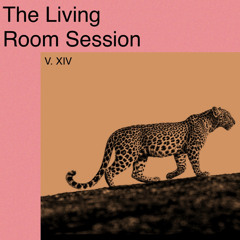 The Living Room Session V. XIV