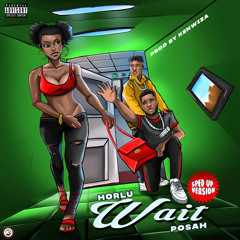 Horlu- Wait ft Posah (sped up version)