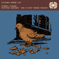 KSP/157 / Street Pigeon - Playing Chicken 'Cos A Chip Needs Peckin'