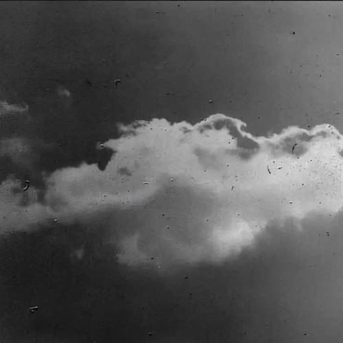 when a tree falls in a forest