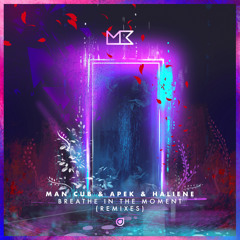 Breathe In The Moment (Au5 Remix) [feat. HALIENE]