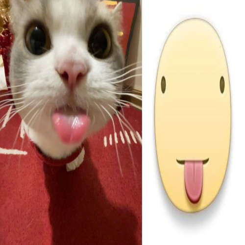 thirsty bixh in my dms leave me alone pls😭