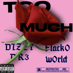 Too Much (ft.FLACK0W0RLD)
