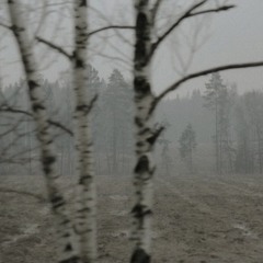 никитка егоркин - человек бегущий 300 метров