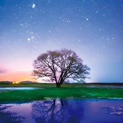 Good Night
