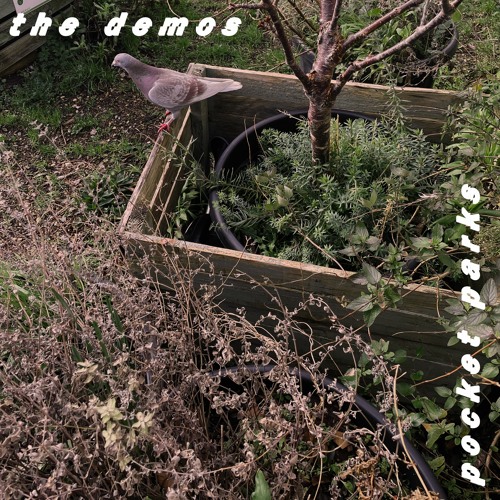 Stream Pocket Parks | Listen to The Demos playlist online for free on ...
