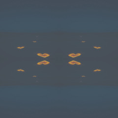 Frozen Heart Echoes #139