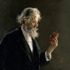 كلمات حول الجوع