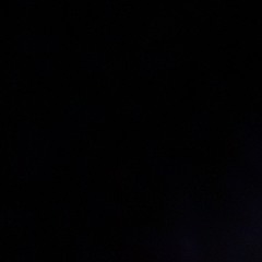 PAPII MALIK-WHERE THE HOES (2016)