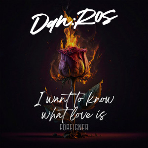 Nayo Music - I Want To Know What Love Is (DAN:ROS Edit)