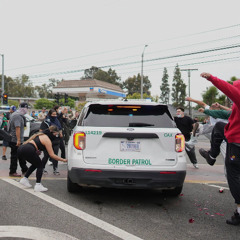 FUCK EM, AND THEIR LAW