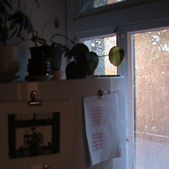 The feminine urge to eat tomatoes