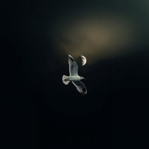 HALLOW PRAYERS - (Feat.TopOppBando - Prod by - @JohIsAlive)