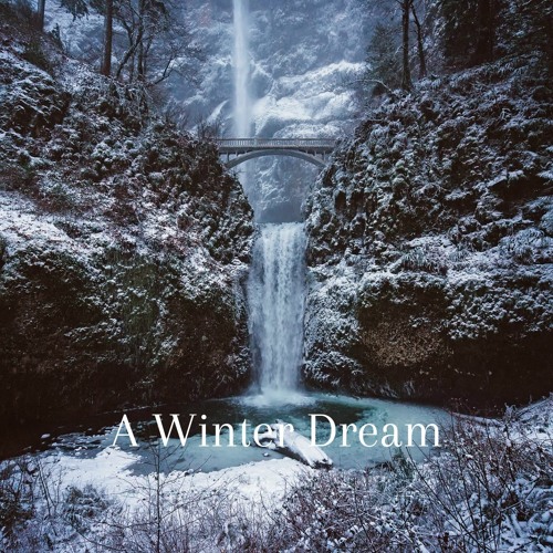 A Winter Dream