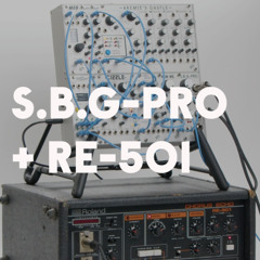 S.B.G-PRO + RE-501