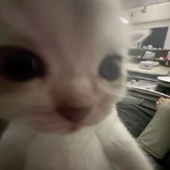 Мы лучшие друзья