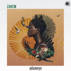 Zakem - Adameyo