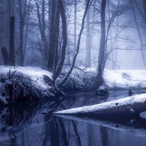 77yolan & ilyhiryu - wush_2 (Slowed)