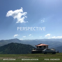 Perspective (With Mohsen Hossein & Pool Engineer)