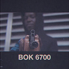 Bok AJ - BOK 6700