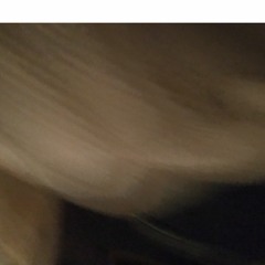 LOCKDOWN ENDS... (Please?)