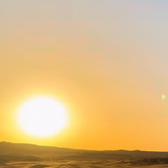 Night Alive - BOUKHA Paris