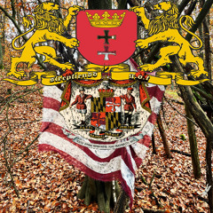 not a day ft. GoT (prod. sleepfiendd)