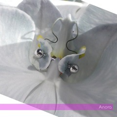 Anora