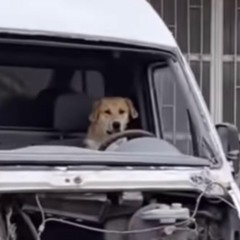 Yalnız Uyunmaz (al sporta yürüyelim spec)