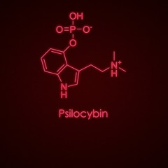 FKD- Psilocybin
