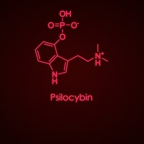 FKD- Psilocybin