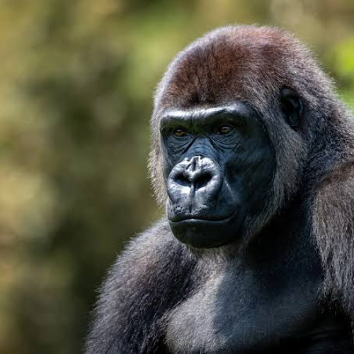 MEGA PUTARIA E CACHORRADA { DJ PEDRINHO & XANDE CDD } SEM EQ