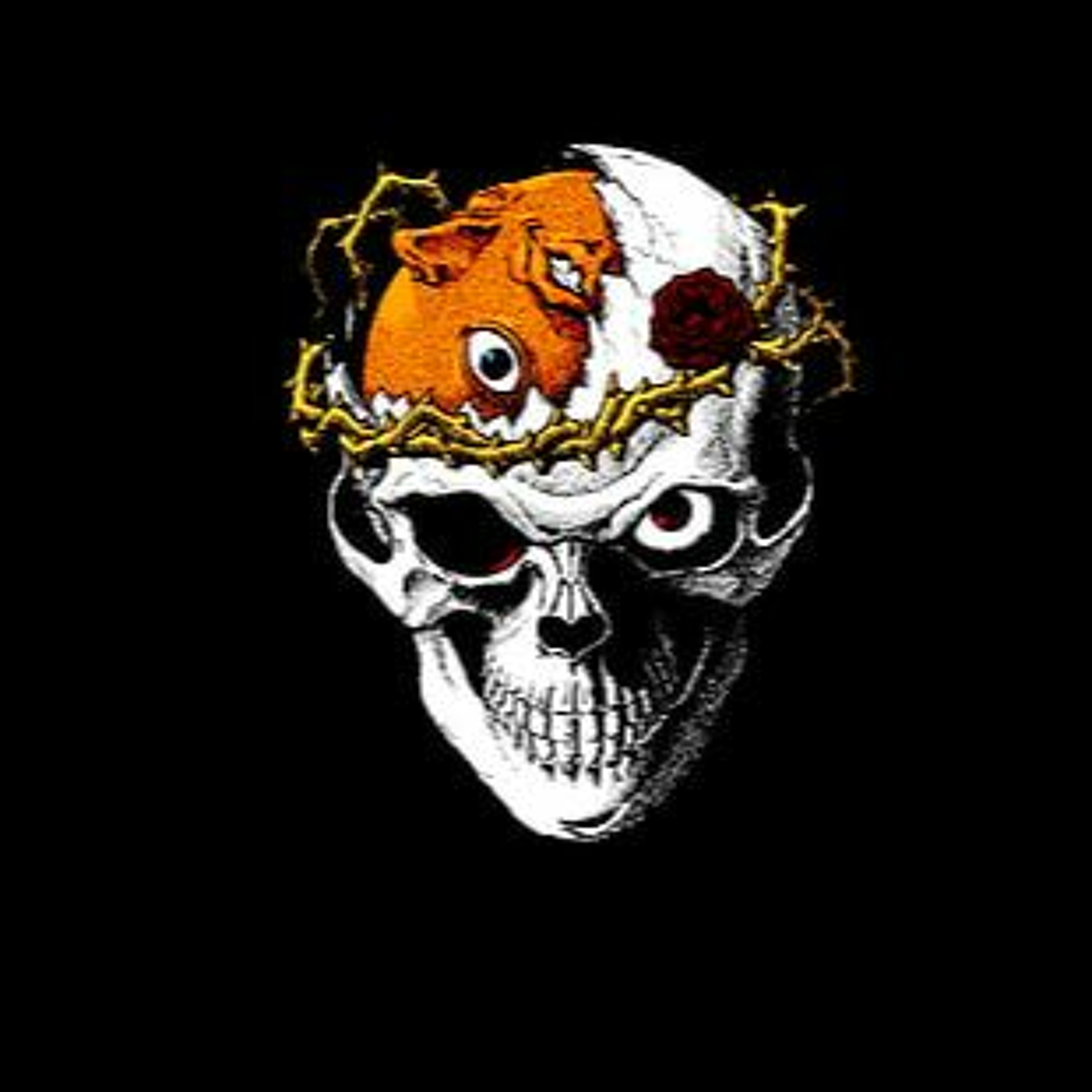 CrazyMelodyrd