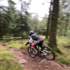 Mtb jungle