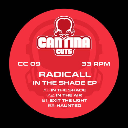 Radicall - In The Air