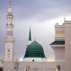 خليليّ عوّجا بي على الروضة الغنّا - أمين الجندي