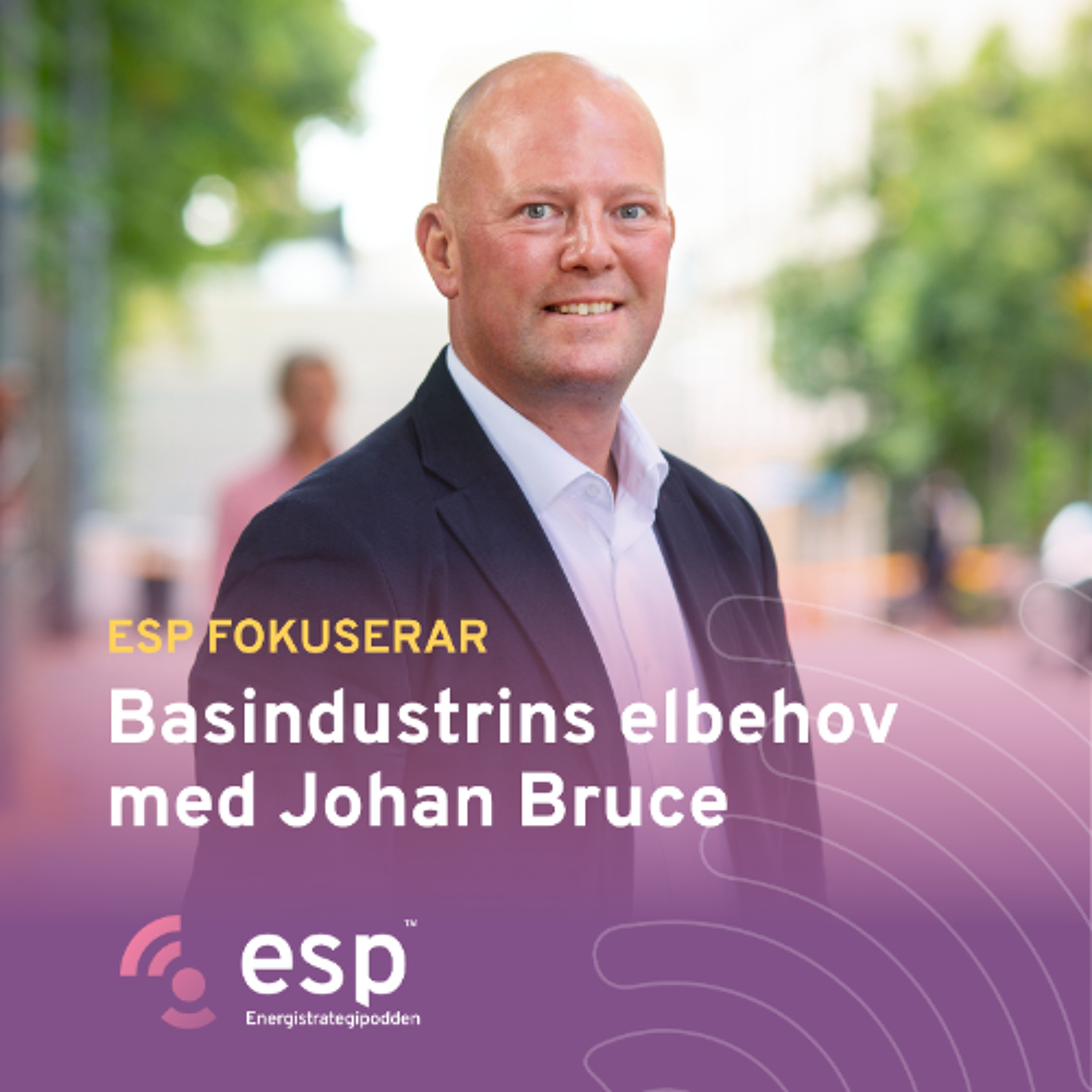 #359 - ESP fokuserar på basindustrins elbehov med Johan Bruce, SKGS episode artwork