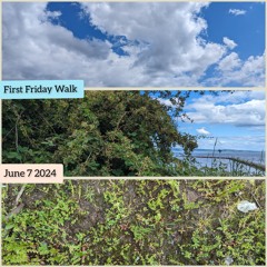 June 7 First Friday Walk Tamsin Grainger